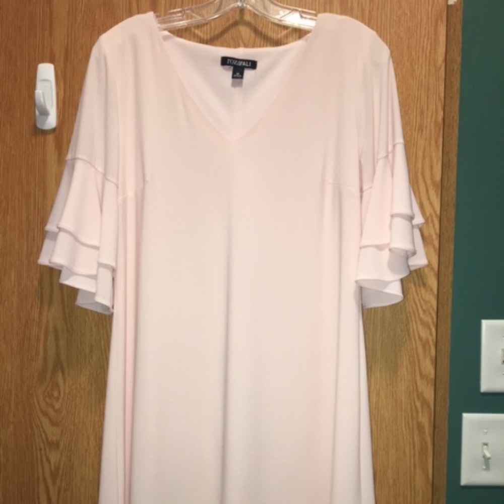 Pale pink Roz & Ali dress